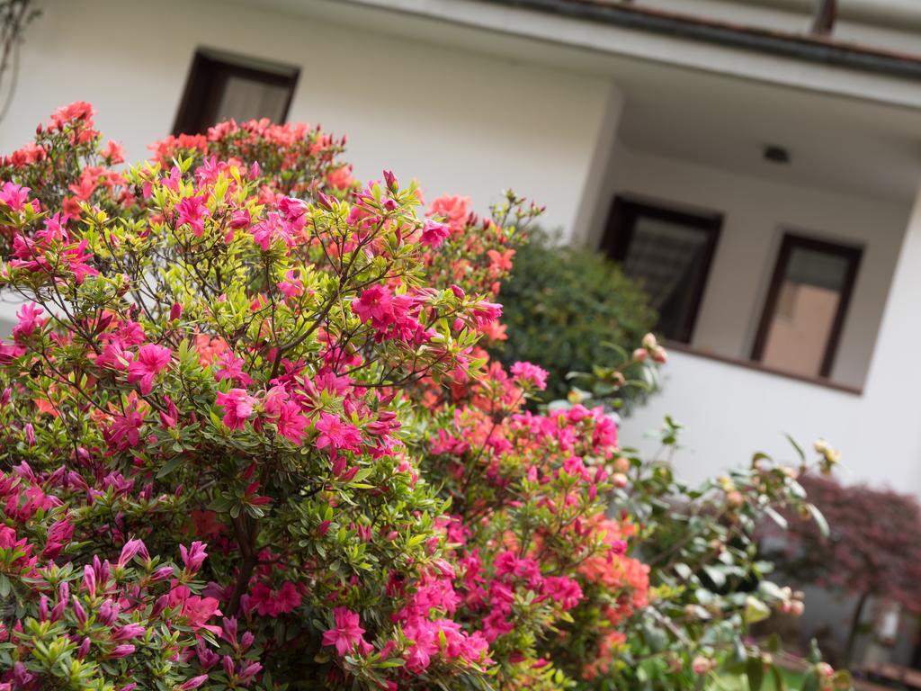 Casa Vacanze Boario Boario Terme 외부 사진